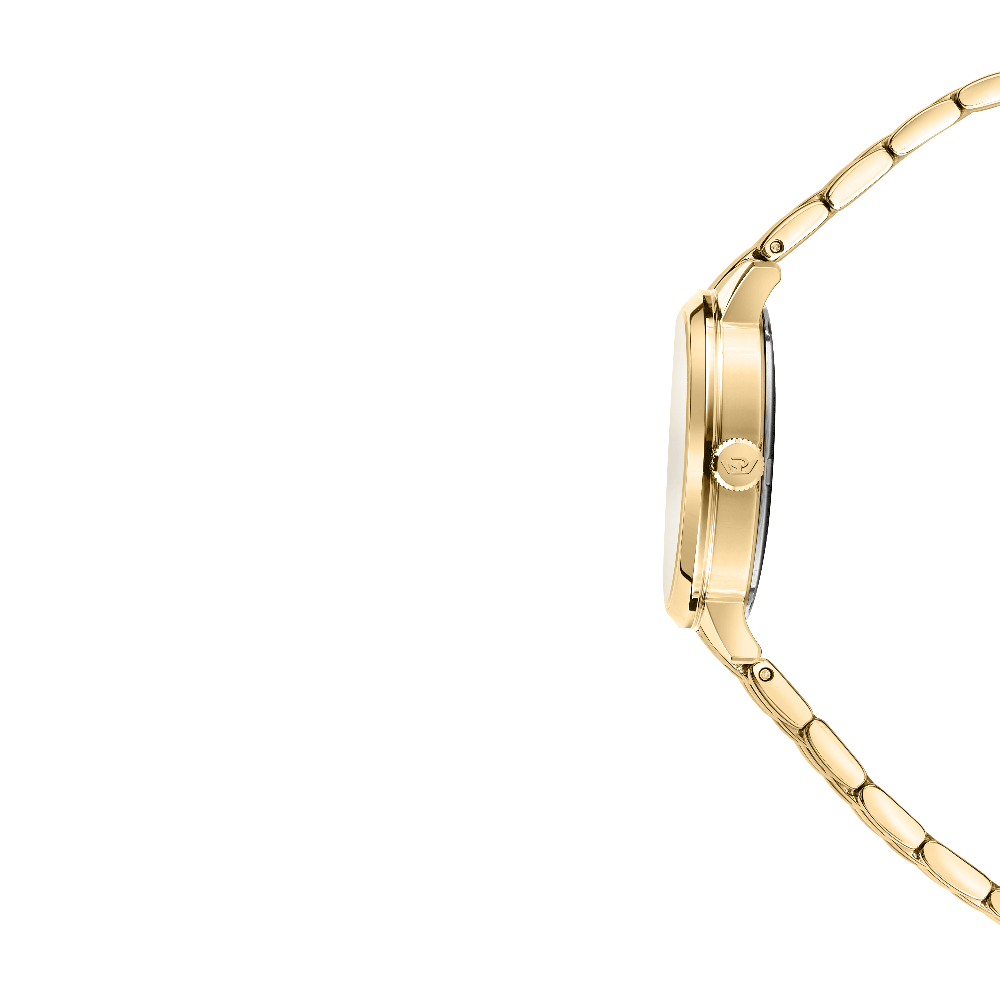 Audrey Women Gold Watch