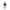 Women Ultra Thin Green 34mm Watch
