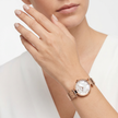Women Skye Rose Gold Watch