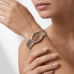 Women Norcia Brown  38.5X20mm Watch