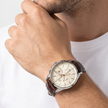 Men Sorpasso Brown Watch